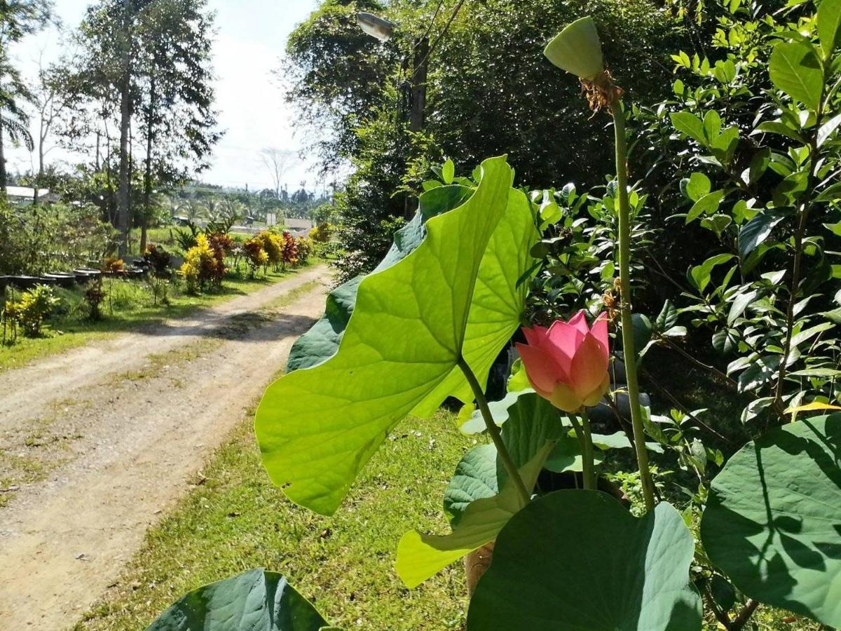 Suan Bang Bon Guest House Plai Phraya Екстериор снимка