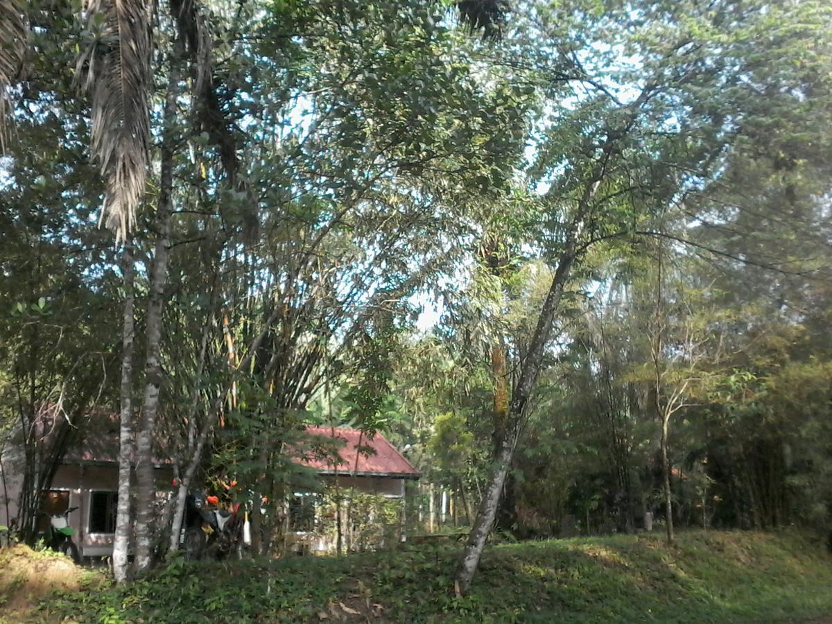 Suan Bang Bon Guest House Plai Phraya Екстериор снимка