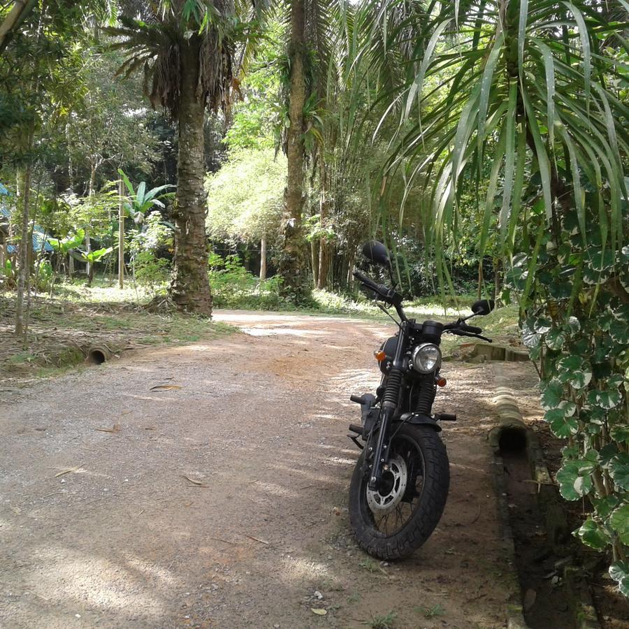 Suan Bang Bon Guest House Plai Phraya Екстериор снимка